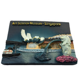 Singapore Fridge Magnet 3D Resin