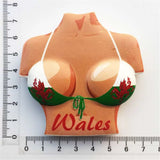 Wales Flag England UK Fridge Magnet 3D Resin