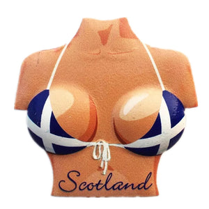 Scotland England UK Fridge Magnet 3D Resin