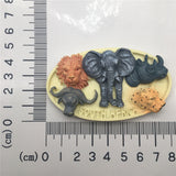 South Africa Fridge Magnet 3D Resin