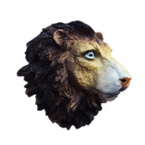 Lion South Luangwa National Park, Zambia Fridge Magnet 3D Resin