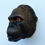 Orangutan Kenya Fridge Magnet 3D Resin