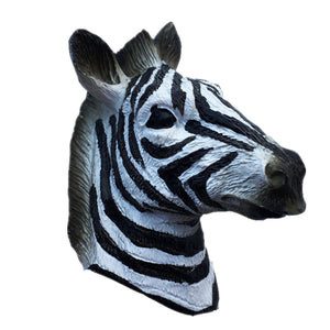 Zebra Serengeti National Park Tanzania Fridge Magnet 3D Resin