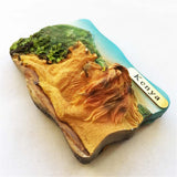 Lion South Africa Fridge Magnet 3D Resin