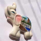 Alanya Turkey Fridge Magnet 3D Resin