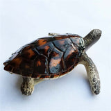 Turtle Philippines Fridge Magnet 3D Resin