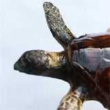 Turtle Bali Indonesia Fridge Magnet 3D Resin