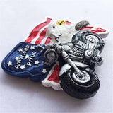 Flag Eagle USA America Fridge Magnet 3D Resin