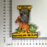 Kangaroo Koala Australia Fridge Magnet 3D Resin