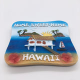 Hawaii USA America Fridge Magnet 3D Resin