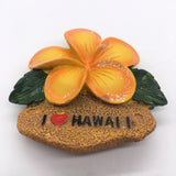 Hawaii USA America Fridge Magnet 3D Resin