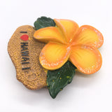 Hawaii USA America Fridge Magnet 3D Resin