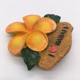 Hawaii USA America Fridge Magnet 3D Resin