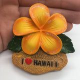 Hawaii USA America Fridge Magnet 3D Resin