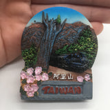 Mount Ali Taiwan China Fridge Magnet 3D Resin