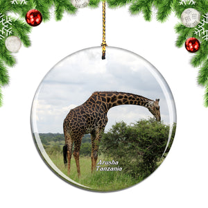 Giraffe Arusha Tanzania Christmas Ornament