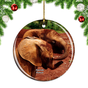 Nairobi Animal Orphanage Kenya Christmas Ornament