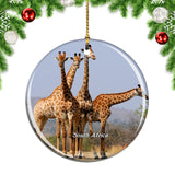 South Africa Giraffe Christmas Ornament