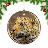 South Africa Leopard Christmas Ornament