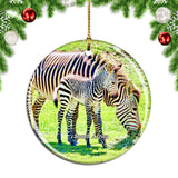 South Africa Zebra Christmas Ornament