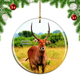 Antelope Arusha Tanzania Christmas Ornament