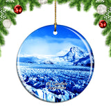 Argentina Los Glaciares National Park El Calafate Christmas Ornament