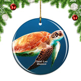 Turtle Saint-Leu Reunion Christmas Ornament