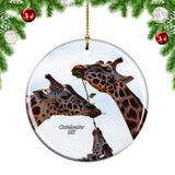 UK England Colchester Zoo Christmas Ornament