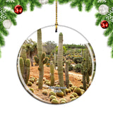 USA America Cactus Gardens Henderson Christmas Ornament