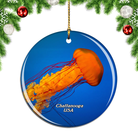 USA America Tennessee Aquarium Chattanooga Christmas Ornament