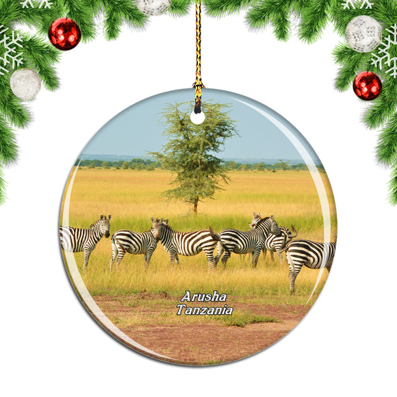 Zebra Arusha Tanzania Christmas Ornament