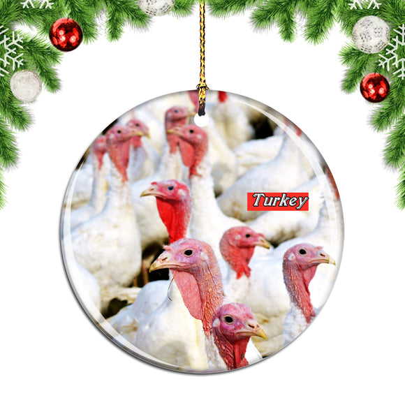 Turkey Birds Christmas Ornament