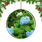 Brazil Amantikir Park Campos Do Jordao Christmas Ornament