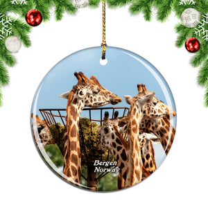 Norway Bergen Zoo Giraffe Christmas Ornament