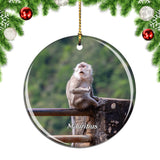 Mauritius Long Tailed Macaque Christmas Ornament