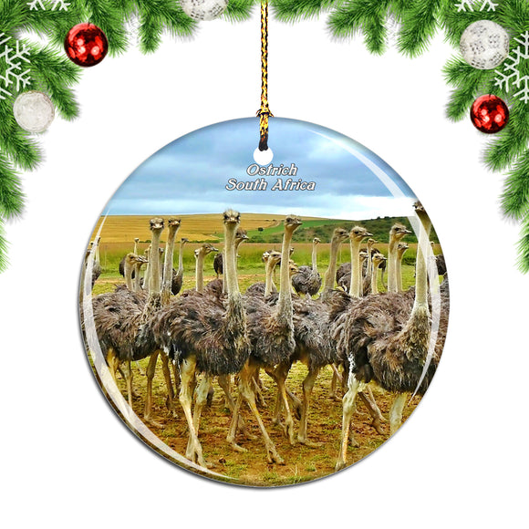 South Africa Bird Ostrich Christmas Ornament