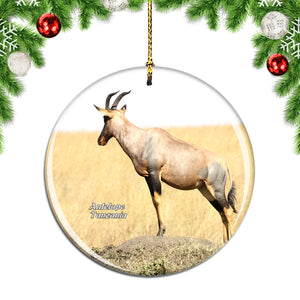 Tanzania Antelope Christmas Ornament