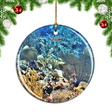 Belize Hol Chan Marine Reserve San Pedro Christmas Ornament