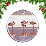 Bolivia Flamingos Lagoon Christmas Ornament