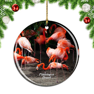 Brazil Flamingos Christmas Ornament