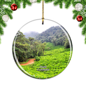 Colombia Dapa Green Tea Christmas Ornament