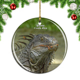 Costa Rica Iguana Christmas Ornament