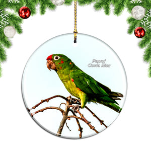 Costa Rica Parrot Bird Christmas Ornament