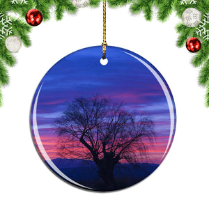 Mendoza Sunset Argentina Christmas Ornament