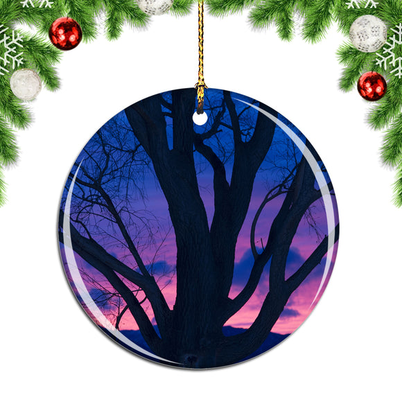 Mendoza Sunset Argentina Christmas Ornament