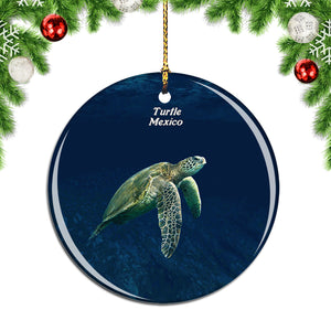 Mexico Turtle Christmas Ornament