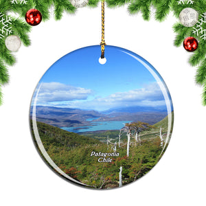 Torres Del Paine National Park Patagonia Chile Christmas Ornament