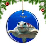 USA America Boca Raton Turtle Gumbo Limbo Nature Center Christmas Ornament