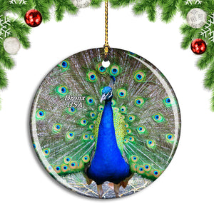 USA America Bronx Zoo Peacock Christmas Ornament