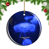 USA America Corpus Christi Texas State Aquarium Christmas Ornament